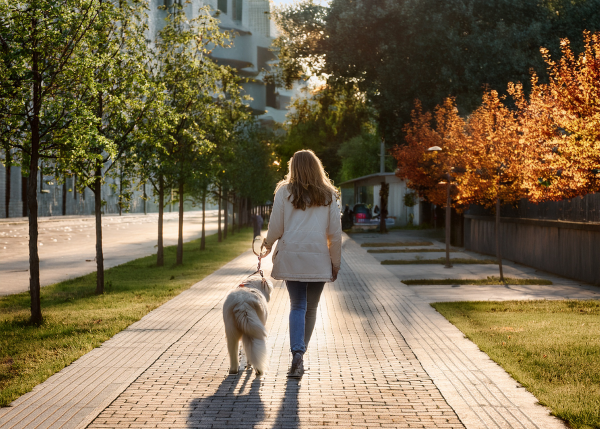Woman walking dog